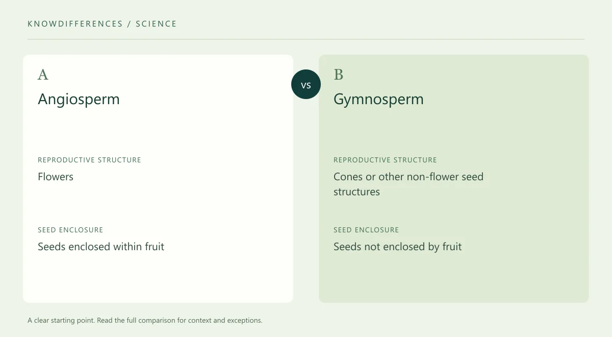 Angiosperm and Gymnosperm: Reproductive structure compared side by side