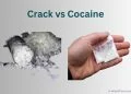 difference between crack and cocaine