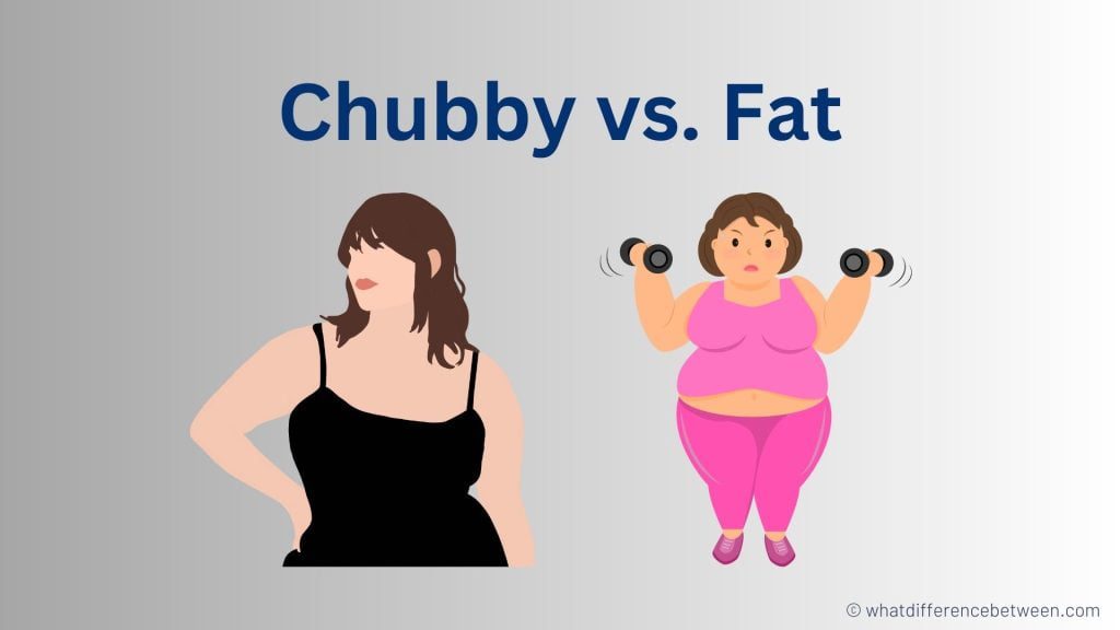 chubby vs fat: What's the difference between Chubby and Fat