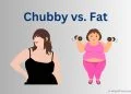 chubby vs fat: What's the difference between Chubby and Fat