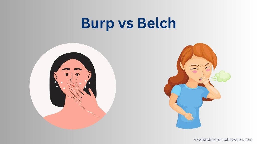 Burp vs Belch: Difference between Burp and Belch