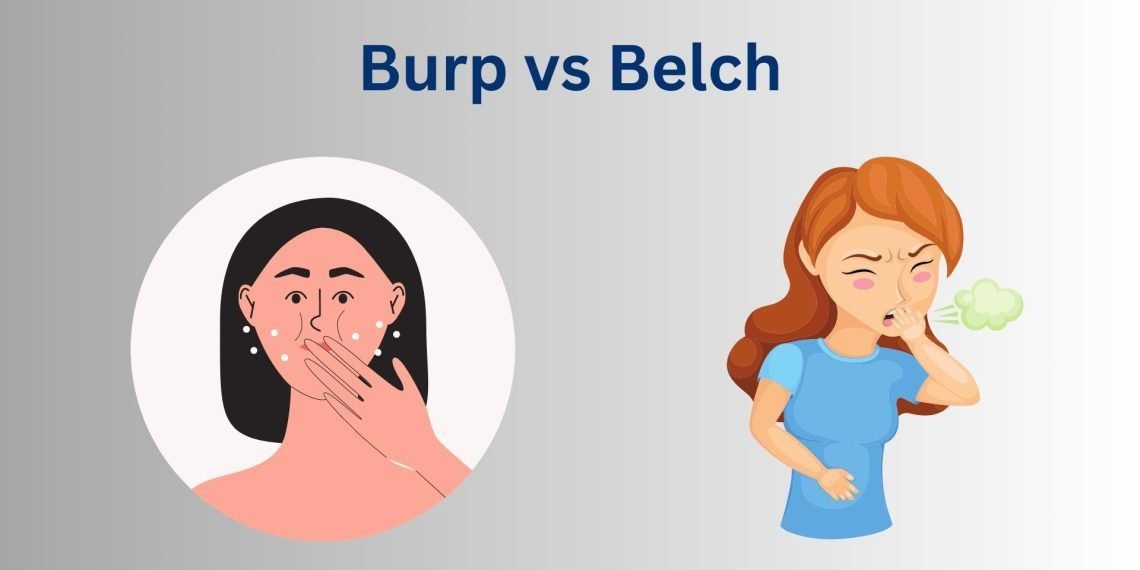 What is the Difference between Burp and Belch