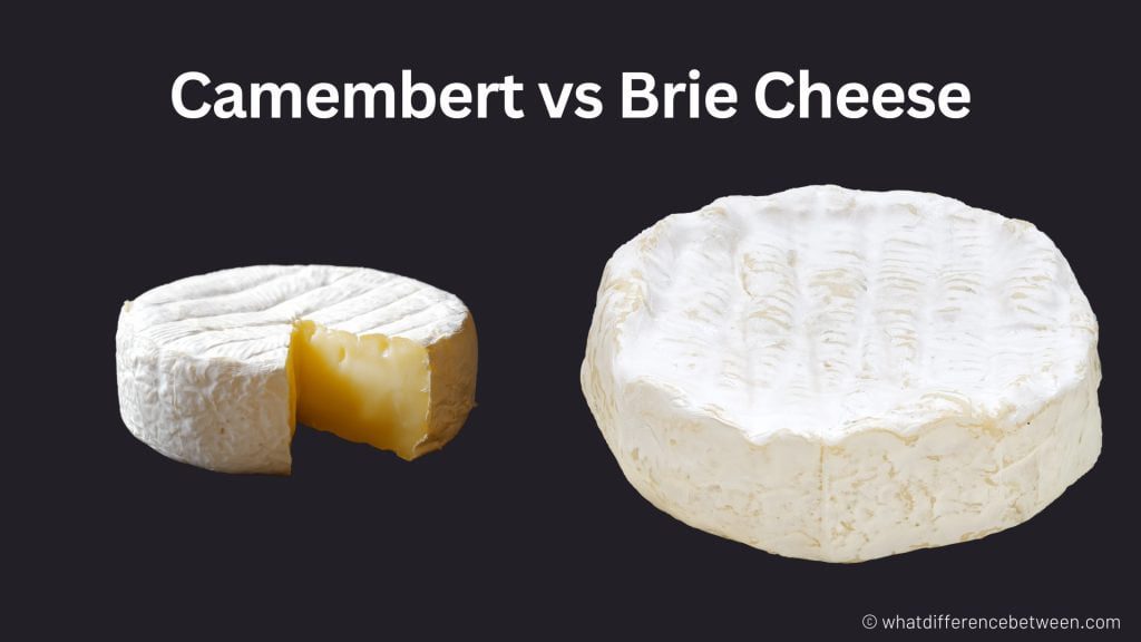 Camembert vs Brie: Difference between Camembert and Brie cheese