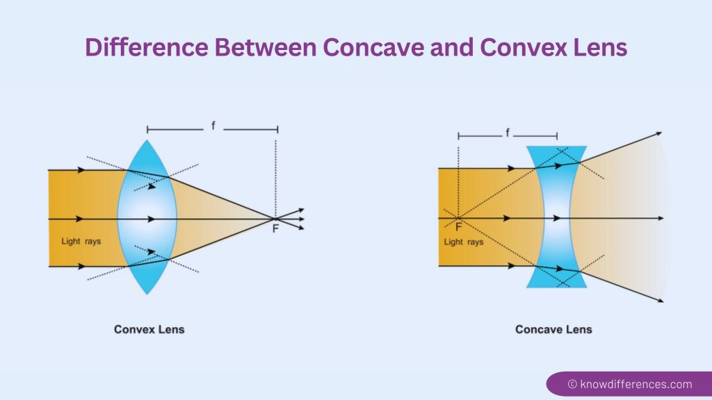 what is the Difference Between Concave and Convex Lens