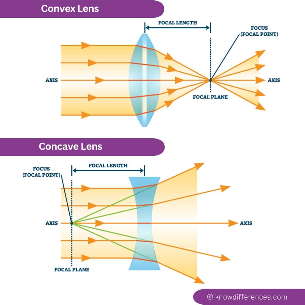 Difference Between Concave and Convex Lens