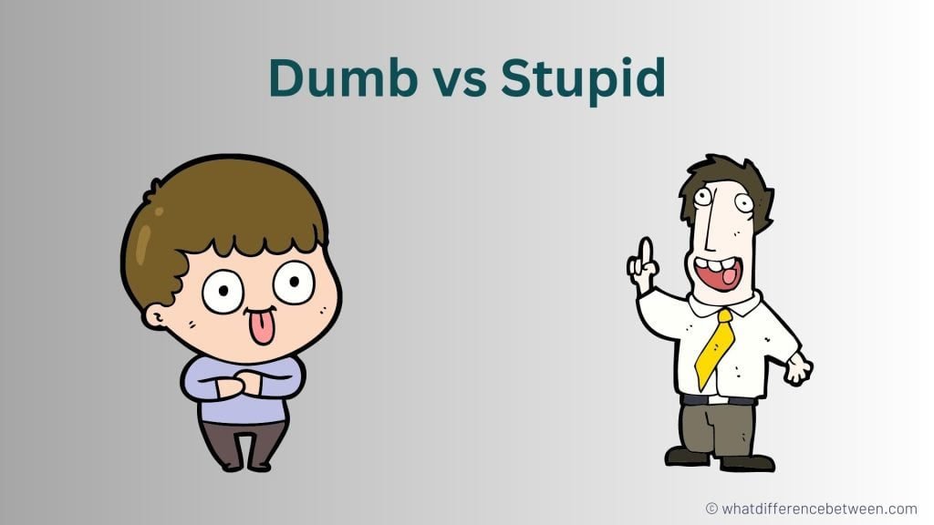 Dumb vs Stupid: What's the Difference