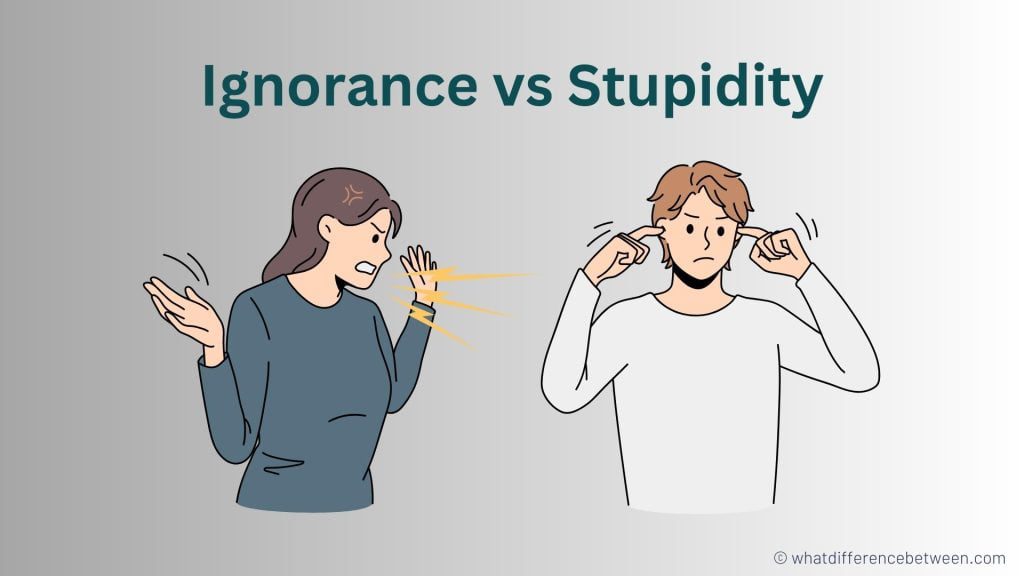 Ignorance vs Stupidity: What's the Difference?