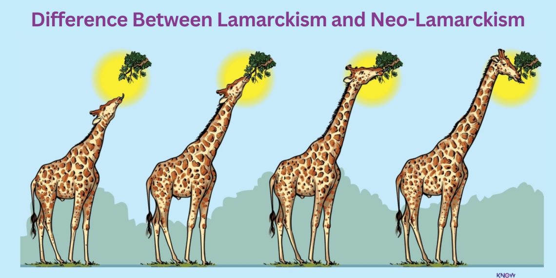 Difference Between Lamarckism And Neo Lamarckism