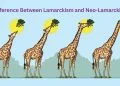 Difference Between Lamarckism and Neo-Lamarckism