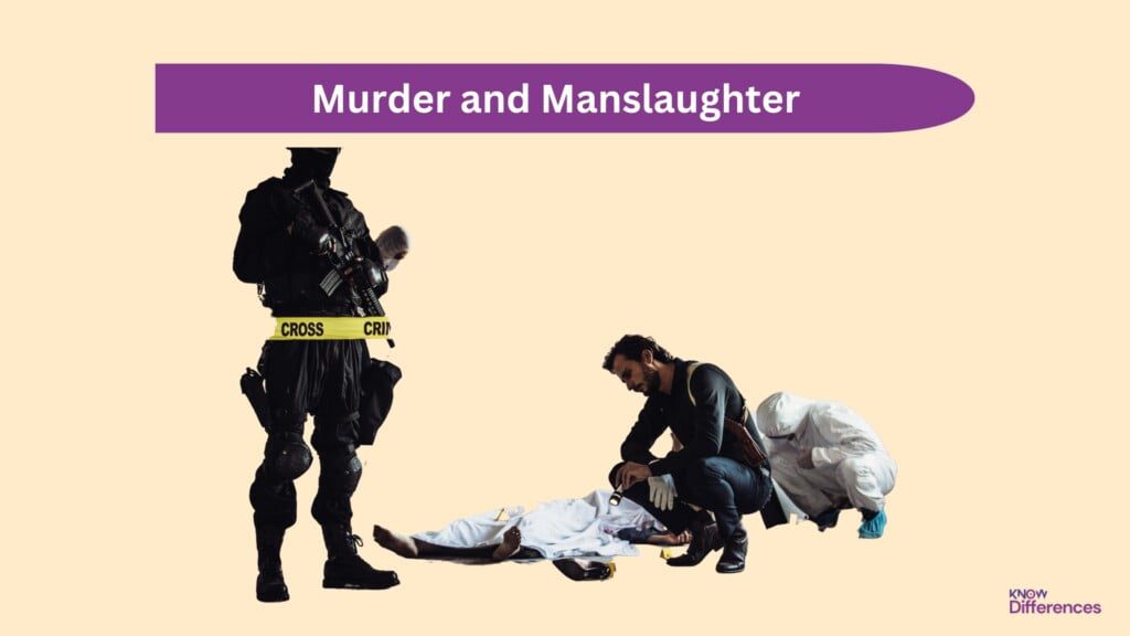 Difference Between Murder and Manslaughter