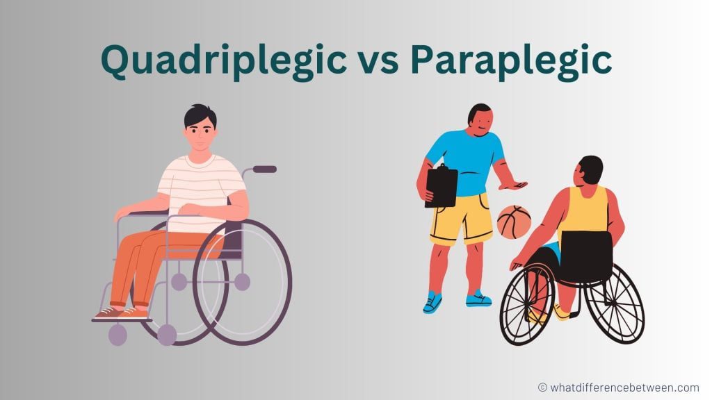 Quadriplegic vs Paraplegic: What's the Difference?