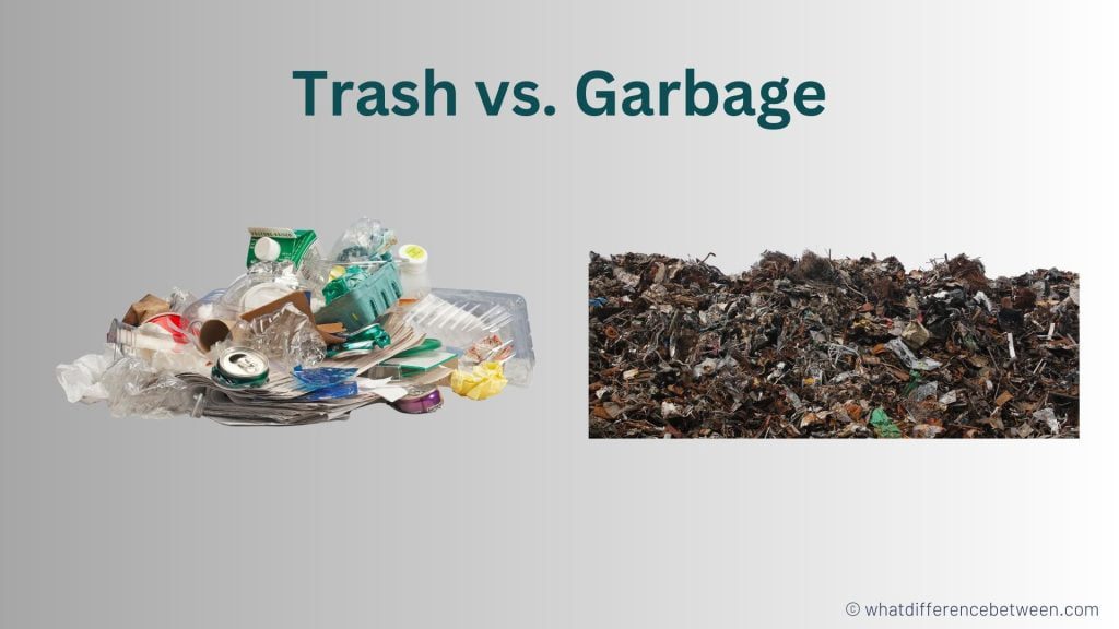 Trash vs Garbage: What's the Difference?