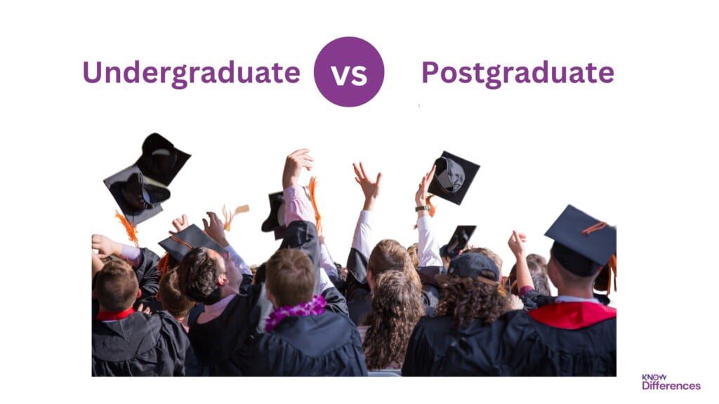 Difference Between Undergraduate and Postgraduate