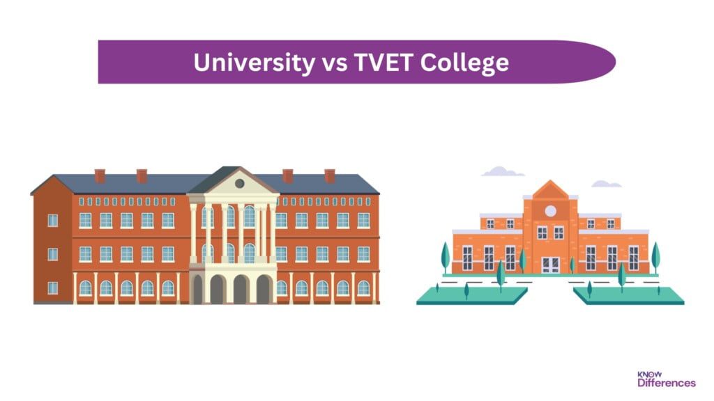 Difference Between University and TVET College