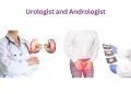 Difference Between Urologist and Andrologist