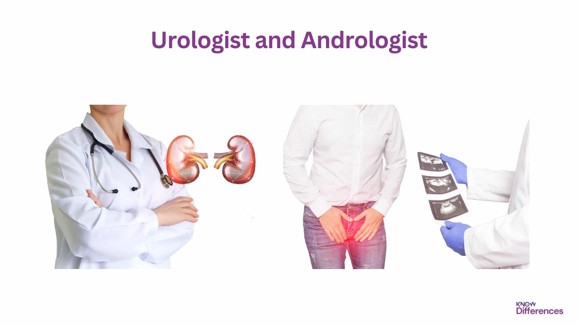 Difference Between Urologist and Andrologist