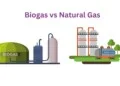 Difference Between Biogas and Natural Gas