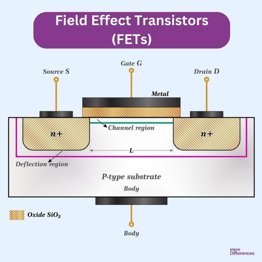 Field Effect Transistors (FETs)