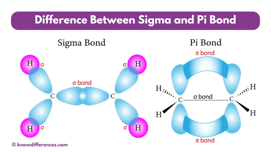 Difference Between Sigma and Pi Bond - Know Differences