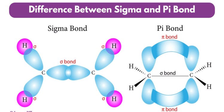 Difference Between Sigma and Pi Bond - Know Differences