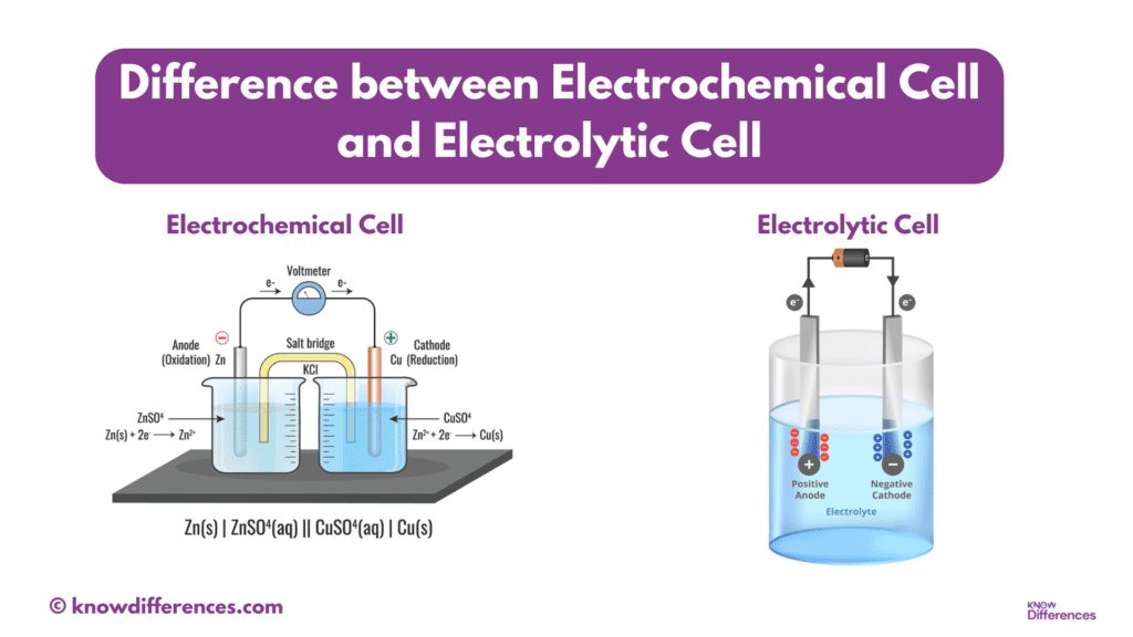 What is the Difference between Electrochemical Cell and Electrolytic Cell