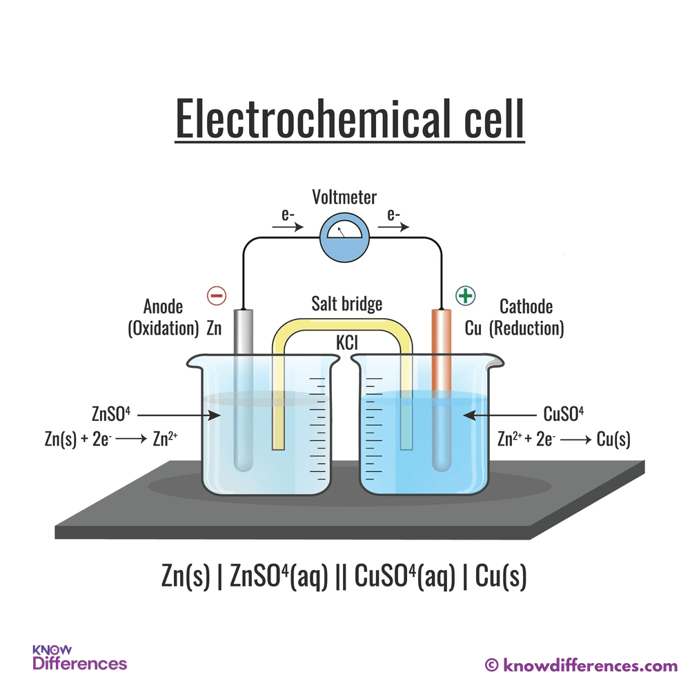 Structure and Components of an Electrochemical Cell