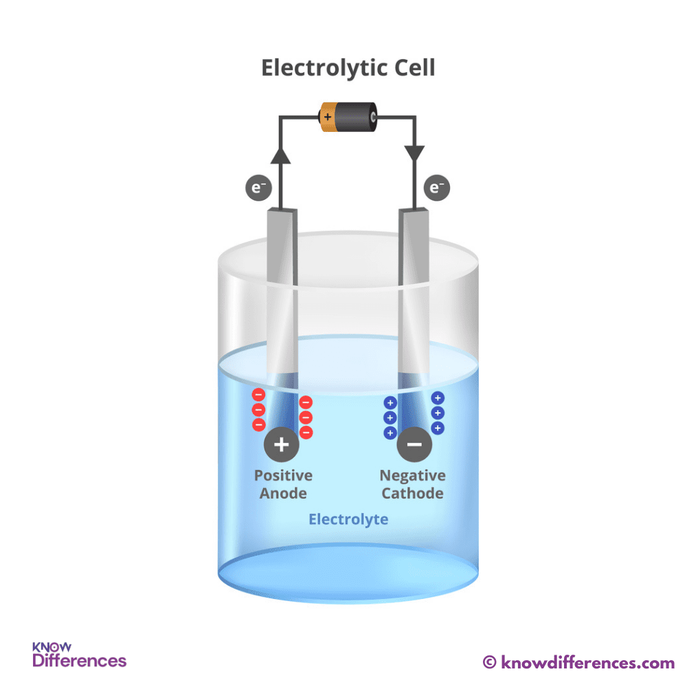 Structure and Components of an Electrolytic Cell